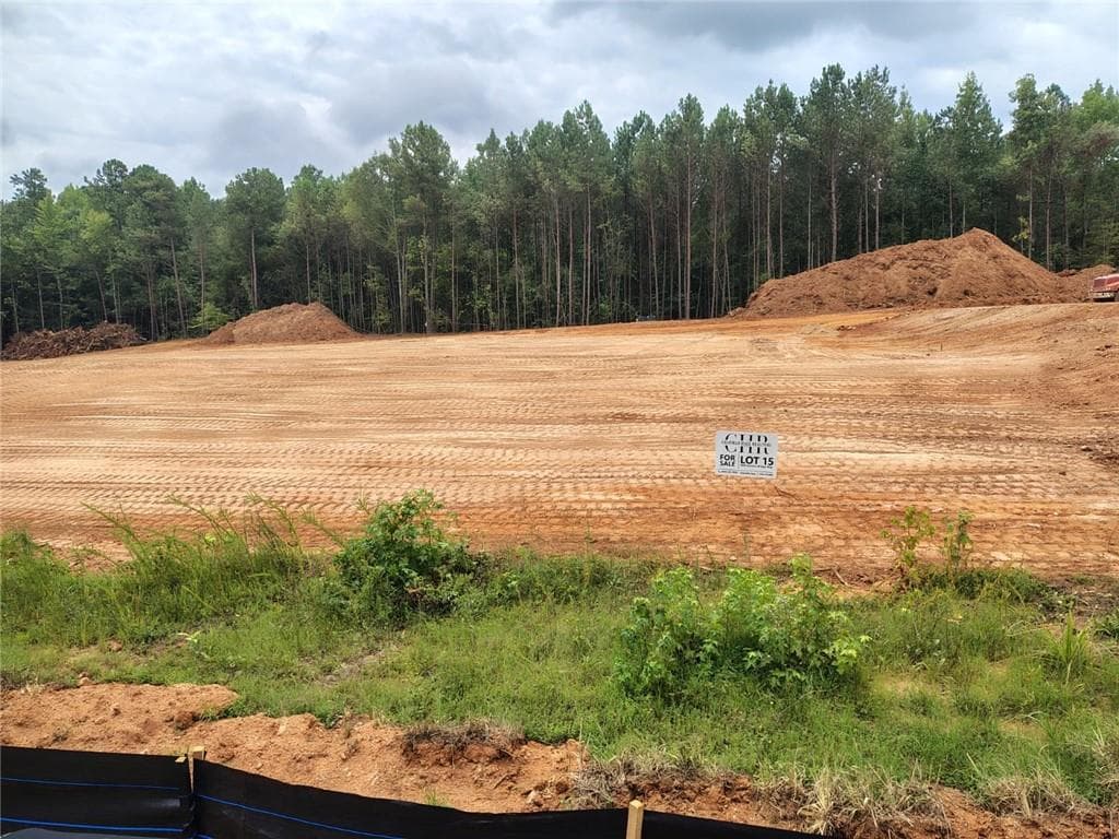 single family residence for sale at 1028 Queens Bridge Way, Griffin, GA 30223 — photo 3