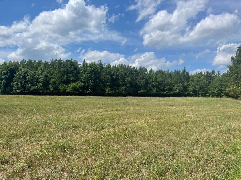 other for sale at 0 Cannon Road, Sharpsburg, GA 30277
