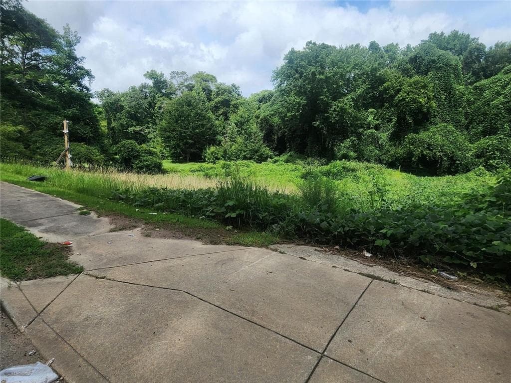 unimproved land for sale at 2233 Macon Drive, Atlanta, GA 30315 — photo 1 of 3