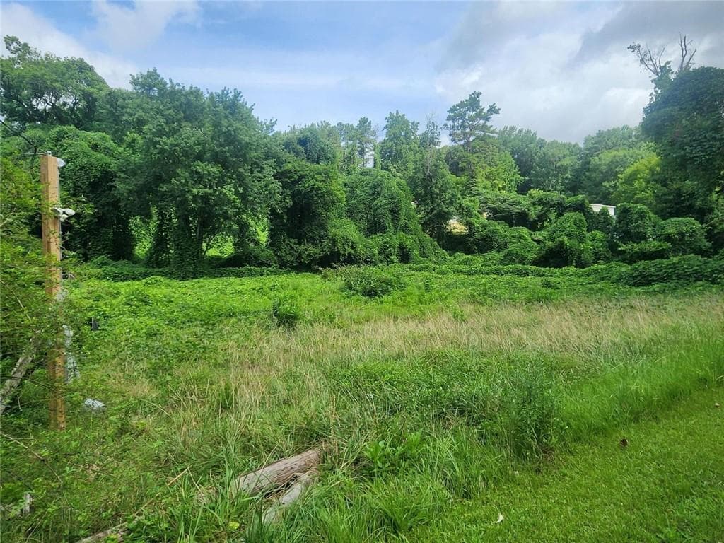 unimproved land for sale at 2233 Macon Drive, Atlanta, GA 30315 — photo 2