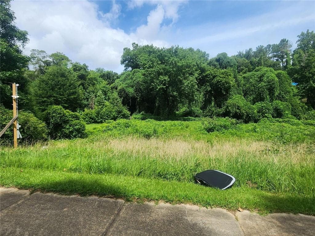 unimproved land for sale at 2233 Macon Drive, Atlanta, GA 30315 — photo 3