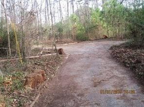 unimproved land for sale at 1251 Kelton Drive, Stone Mountain, GA 30083 — photo 3