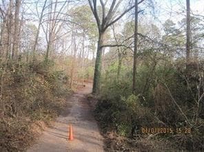 unimproved land for sale at 1251 Kelton Drive, Stone Mountain, GA 30083 — photo 9