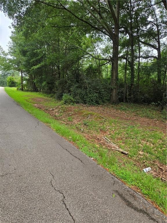 unimproved land for sale at 0 Second Street, Stockbridge, GA 30281 — photo 3