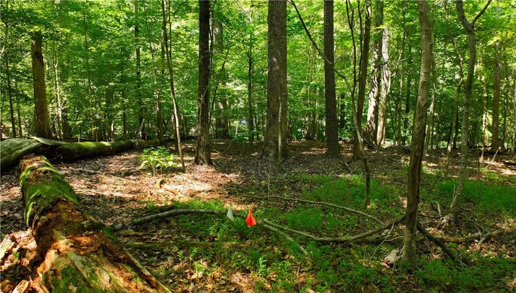 unimproved land for sale at 2771 Gardenwood Court, Lilburn, GA 30047 — photo 1 of 2