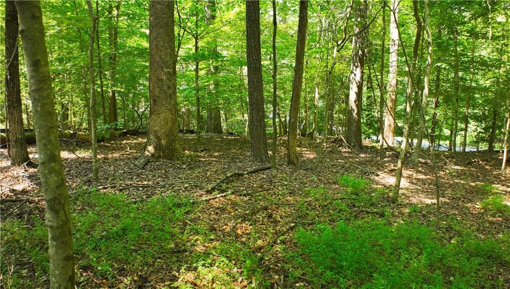 unimproved land for sale at 2771 Gardenwood Court, Lilburn, GA 30047 — photo 2