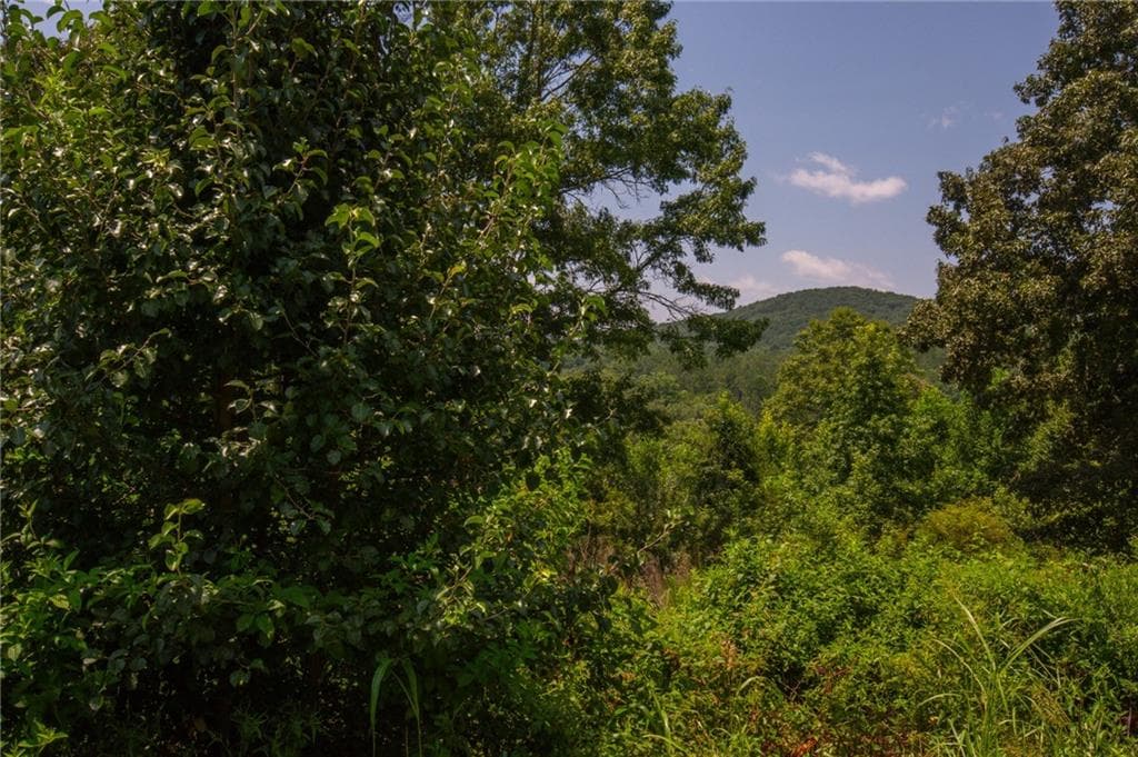unimproved land for sale at LOT A Porter Springs Road, Dahlonega, GA 30533 — photo 6
