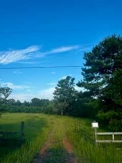 unimproved land for sale at 1368 Pleasant Grove Road, Yatesville, GA 31097 — photo 3