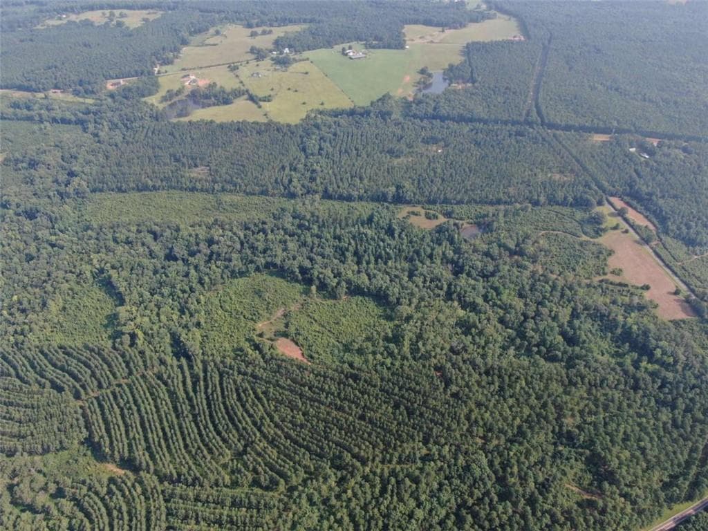 unimproved land for sale at 1368 Pleasant Grove Road, Yatesville, GA 31097 — photo 7