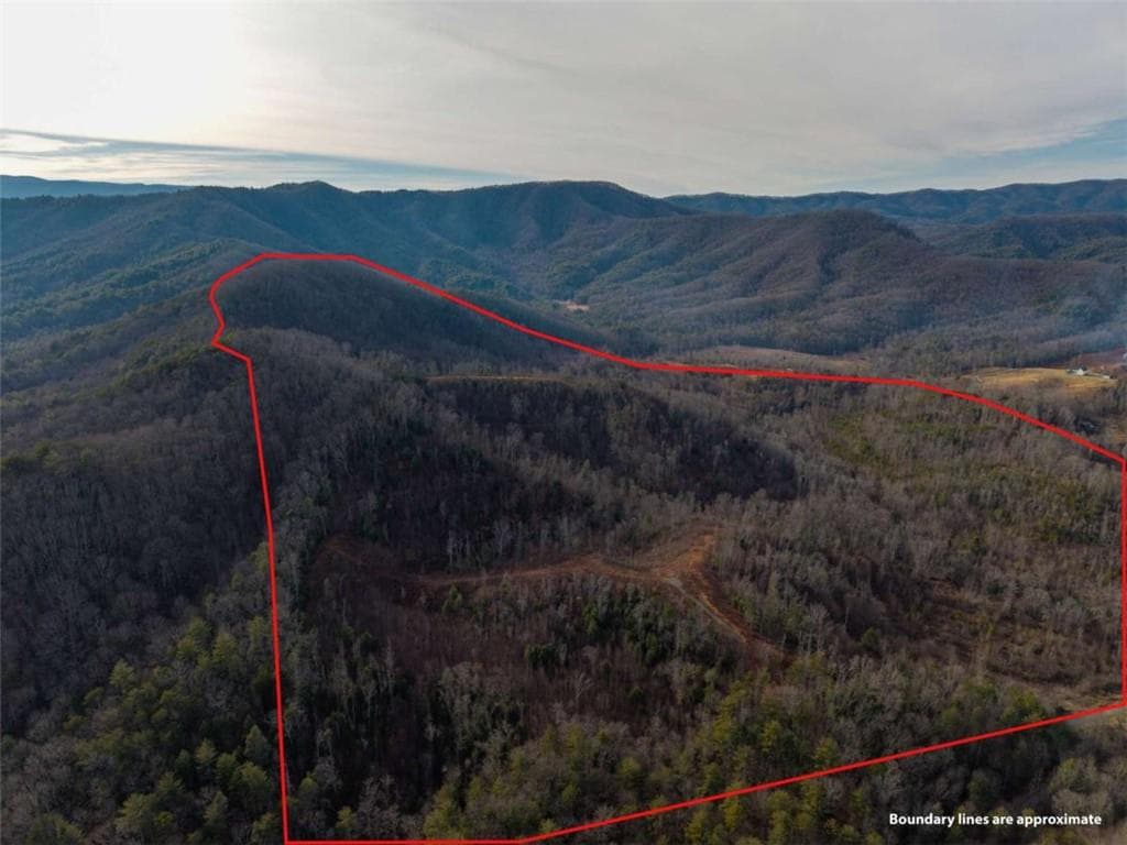 unimproved land for sale at 156+ Higdon Creek Road, Blue Ridge, GA 30513