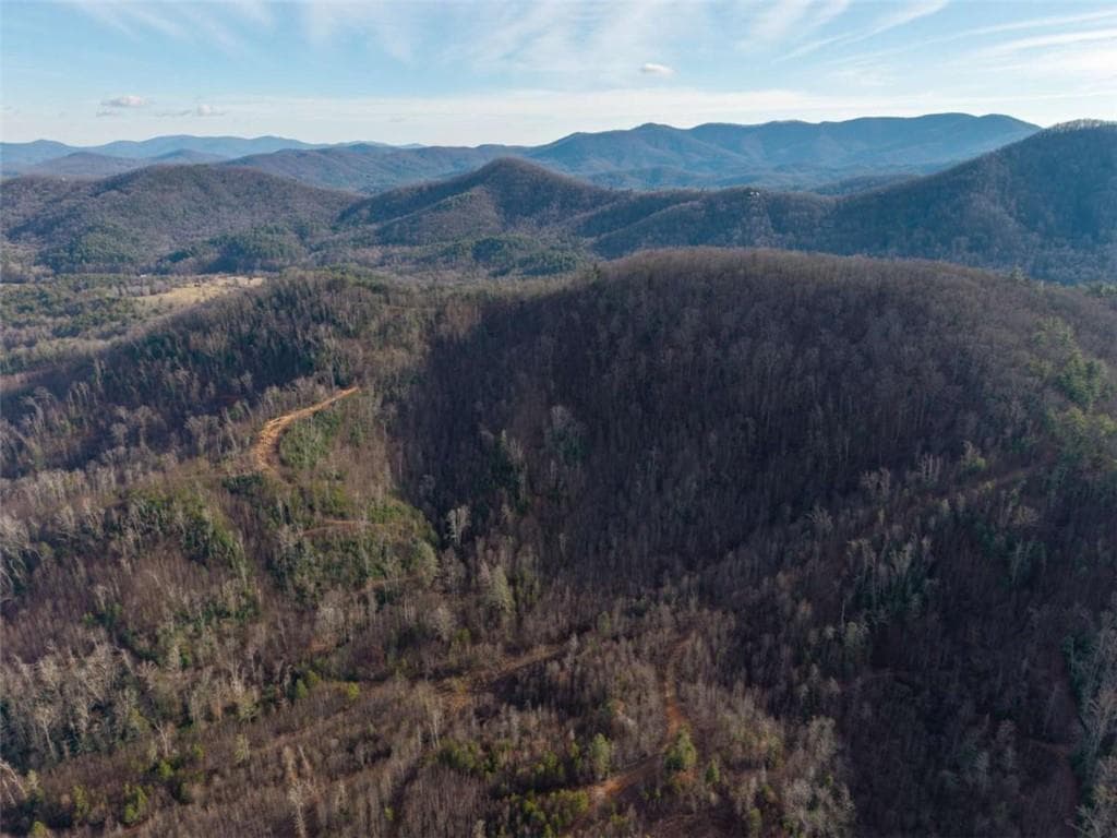 unimproved land for sale at 156+ Higdon Creek Road, Blue Ridge, GA 30513 — photo 2