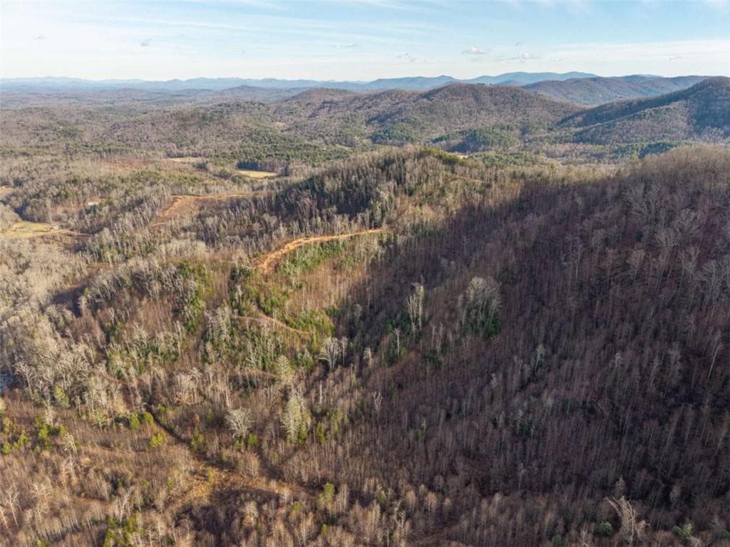 unimproved land for sale at 156+ Higdon Creek Road, Blue Ridge, GA 30513 — photo 3