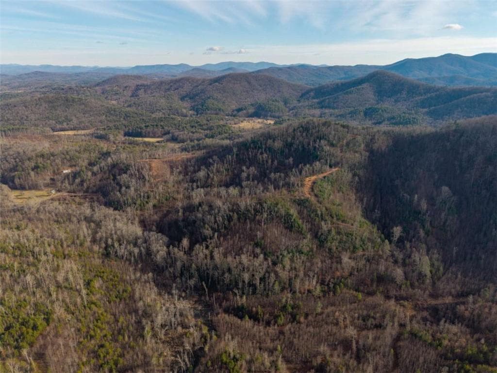 unimproved land for sale at 156+ Higdon Creek Road, Blue Ridge, GA 30513 — photo 4