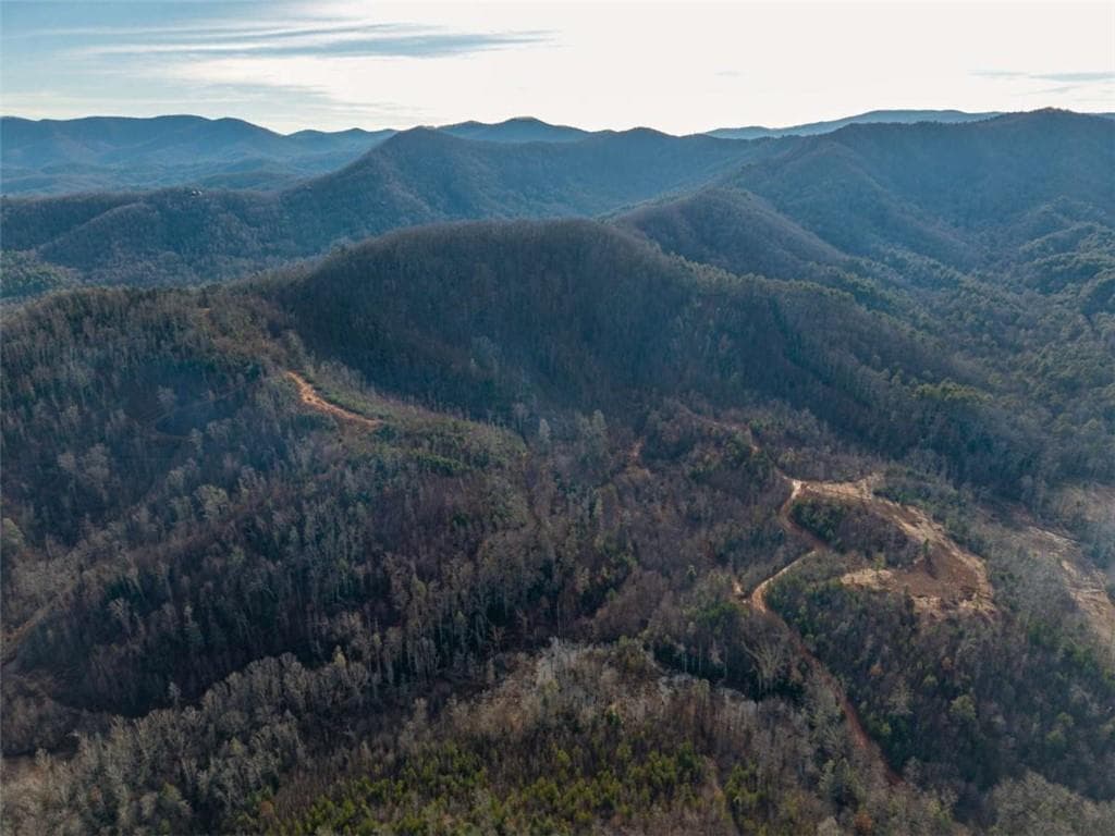 unimproved land for sale at 156+ Higdon Creek Road, Blue Ridge, GA 30513 — photo 5