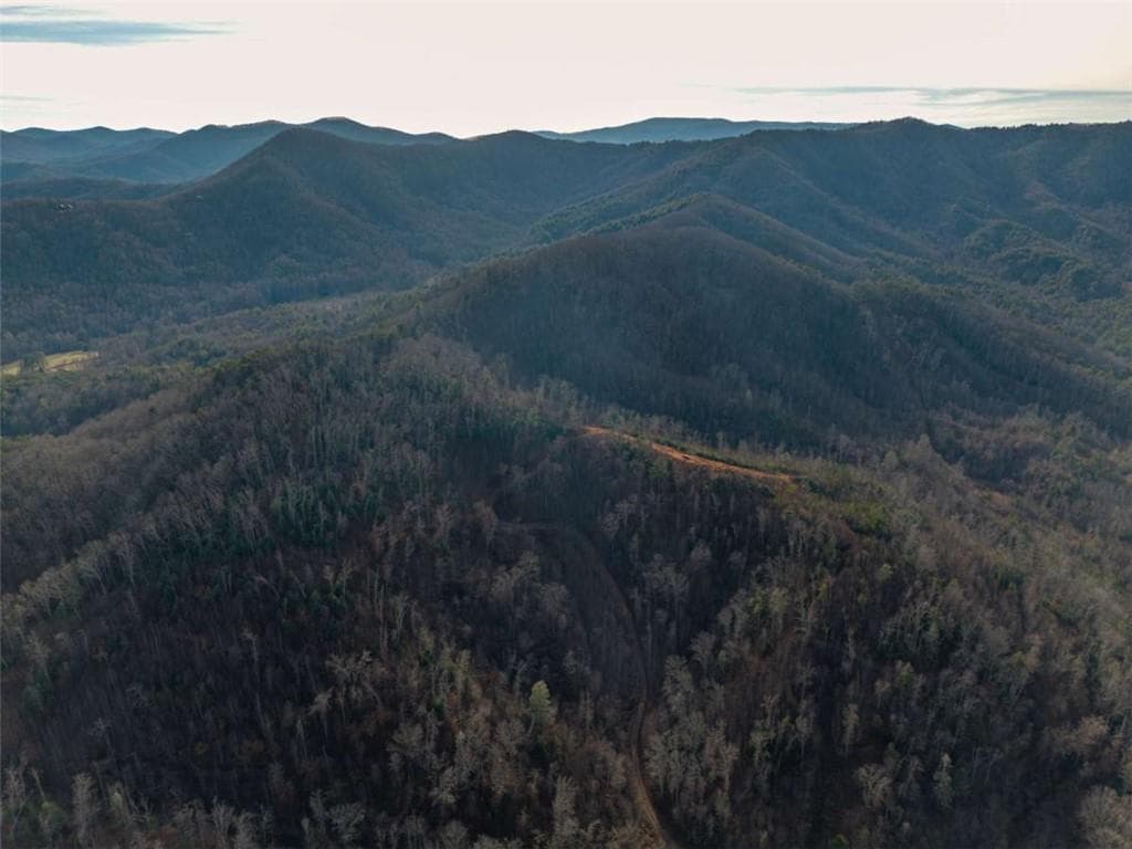 unimproved land for sale at 156+ Higdon Creek Road, Blue Ridge, GA 30513 — photo 6