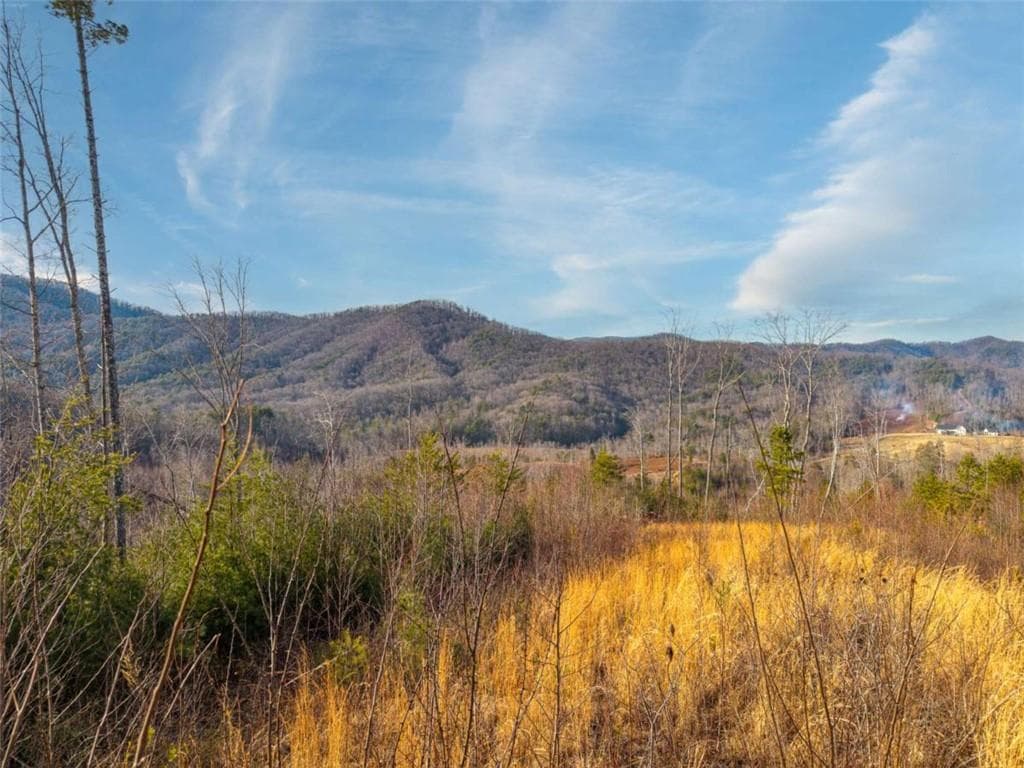 unimproved land for sale at 156+ Higdon Creek Road, Blue Ridge, GA 30513 — photo 7