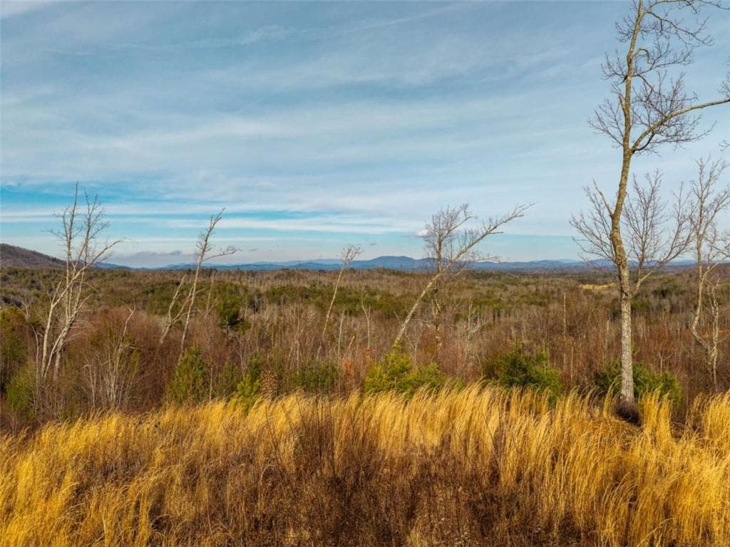 unimproved land for sale at 156+ Higdon Creek Road, Blue Ridge, GA 30513 — photo 8