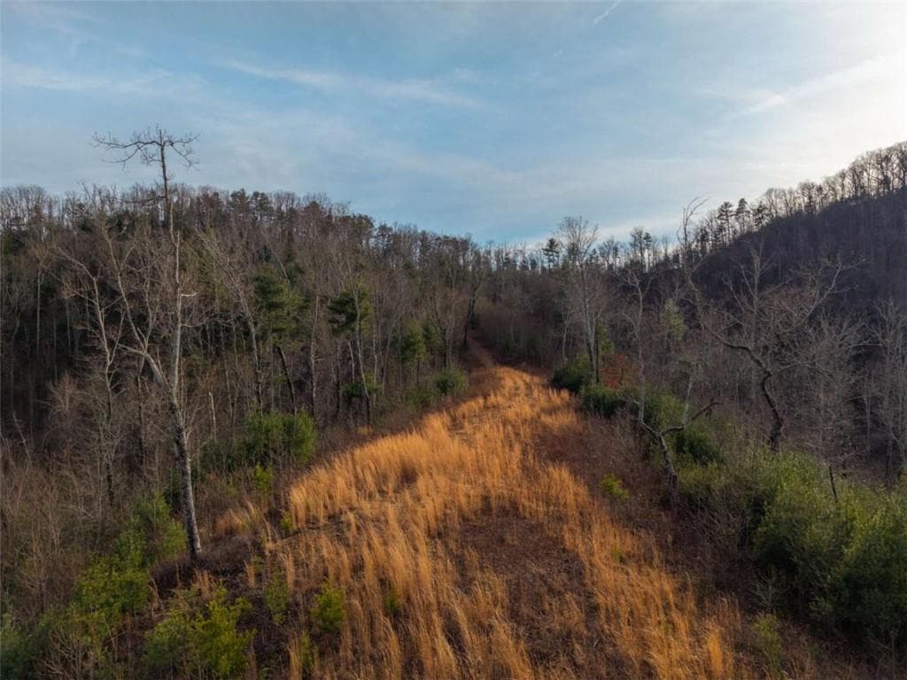 unimproved land for sale at 156+ Higdon Creek Road, Blue Ridge, GA 30513 — photo 9