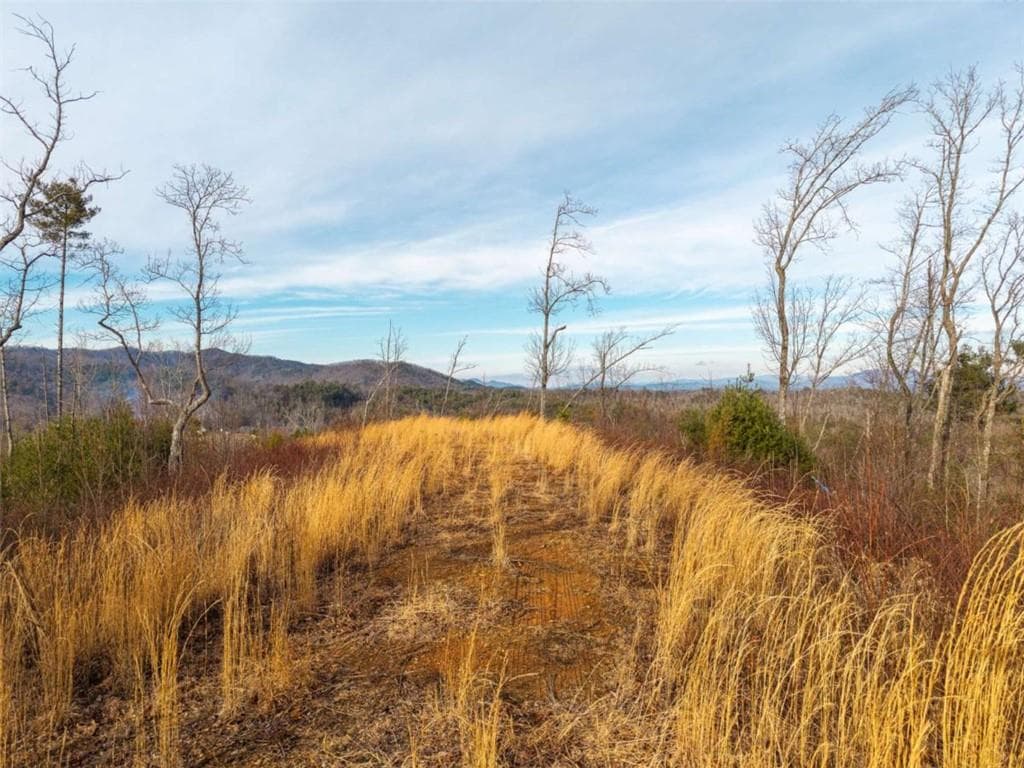 unimproved land for sale at 156+ Higdon Creek Road, Blue Ridge, GA 30513 — photo 10