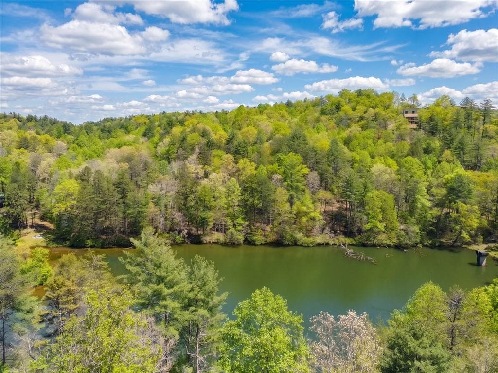 5 bedroom, 6 bathroom, 4,518 sq ft single family residence for sale at 245 Bear Paw Trail, Blue Ridge, GA 30513 — photo 3