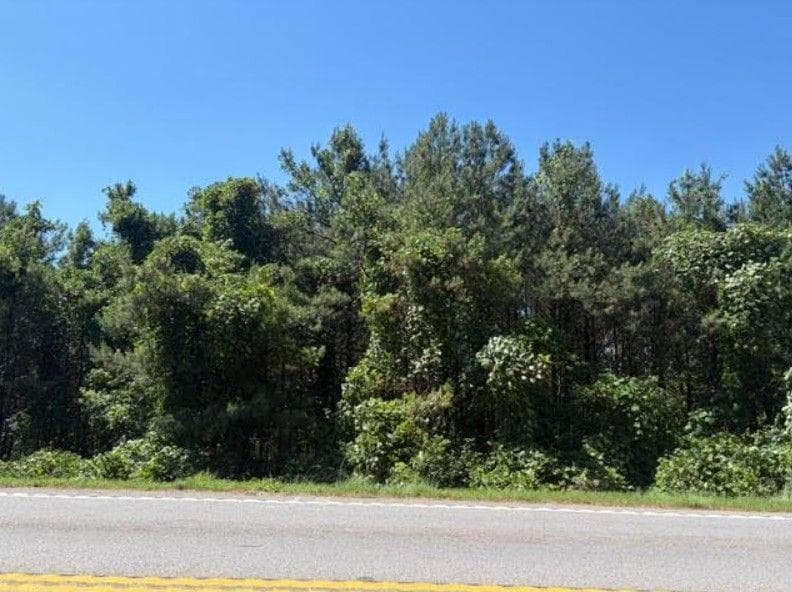 unimproved land for sale at 7057 Hwy 81 - Tract 8, Monroe, GA 30656 — photo 7