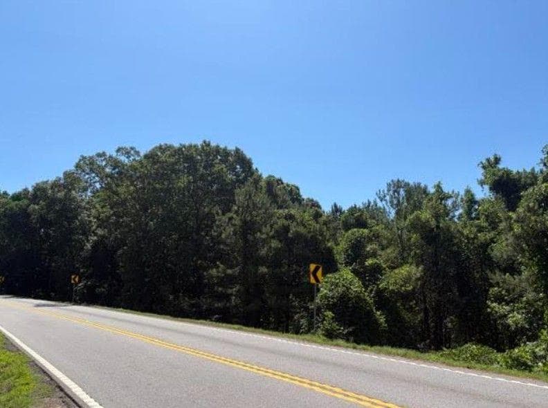 unimproved land for sale at 7057 Hwy 81 - Tract 8, Monroe, GA 30656 — photo 8