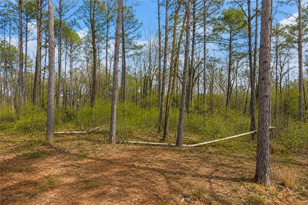 single family residence under contract at 1660 Watkins Farm Road, Nicholson, GA 30565 — photo 8
