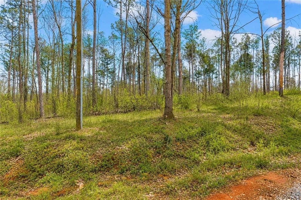 single family residence under contract at 1660 Watkins Farm Road, Nicholson, GA 30565 — photo 9