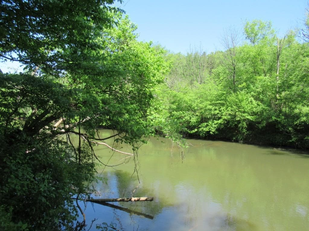 single family residence for sale at 0 Chestatee Drive, Dahlonega, GA 30533 — photo 7