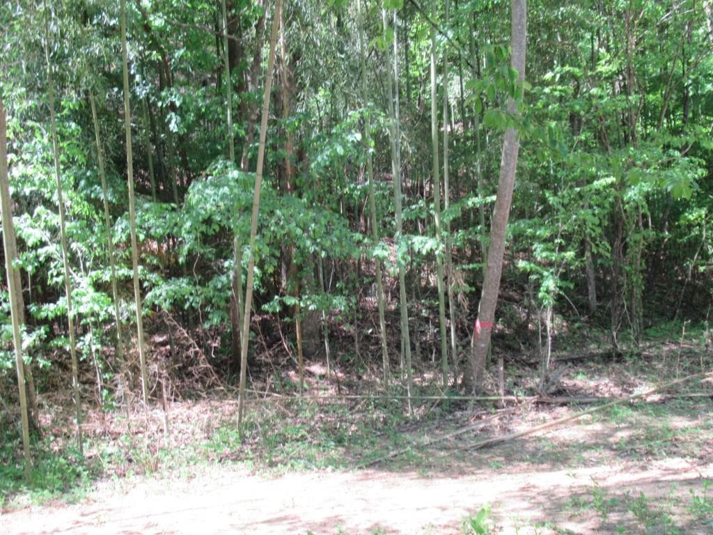 single family residence for sale at 0 Chestatee Drive, Dahlonega, GA 30533 — photo 10