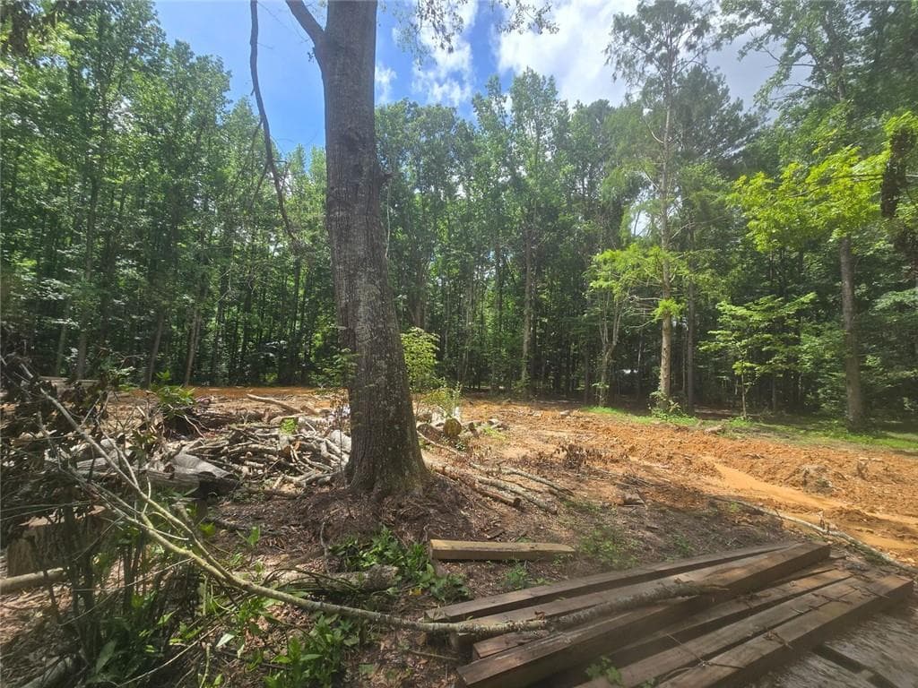 2 bedroom, 1 bathroom, 1,172 sq ft single family residence under contract at 966 Judkin Mill Road, Cedartown, GA 30125 — photo 7