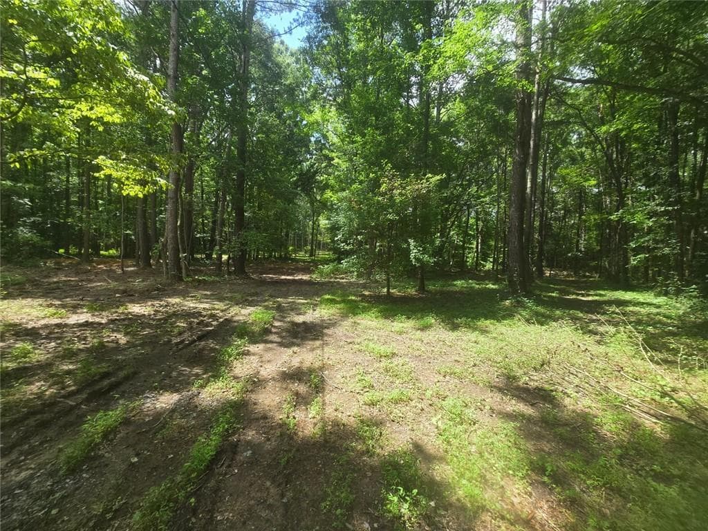 2 bedroom, 1 bathroom, 1,172 sq ft single family residence under contract at 966 Judkin Mill Road, Cedartown, GA 30125 — photo 8