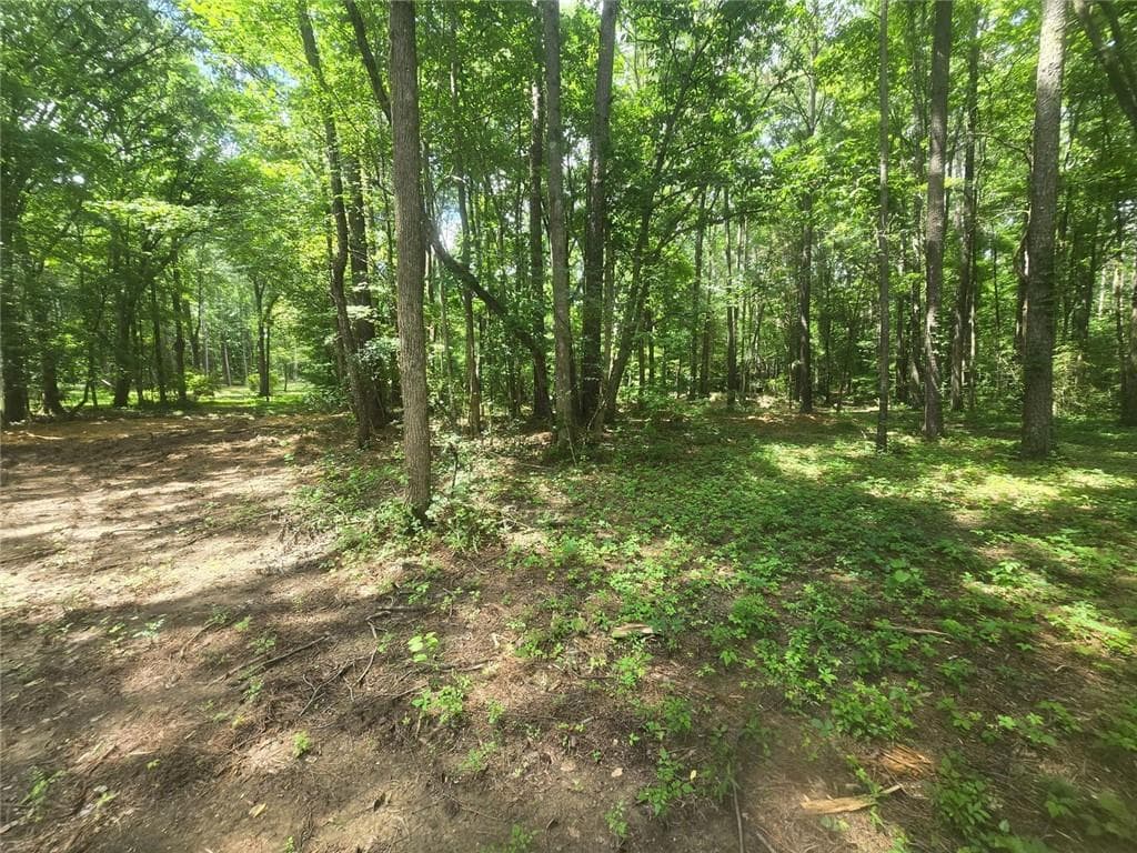 2 bedroom, 1 bathroom, 1,172 sq ft single family residence under contract at 966 Judkin Mill Road, Cedartown, GA 30125 — photo 10