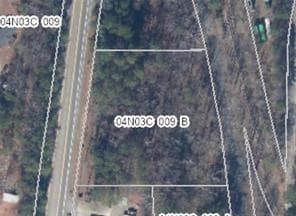 unimproved land for sale at 10494 Ball Ground Highway, Ball Ground, GA 30107 — photo 2