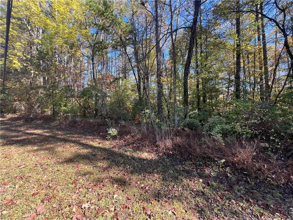 unimproved land for sale at 10494 Ball Ground Highway, Ball Ground, GA 30107 — photo 7