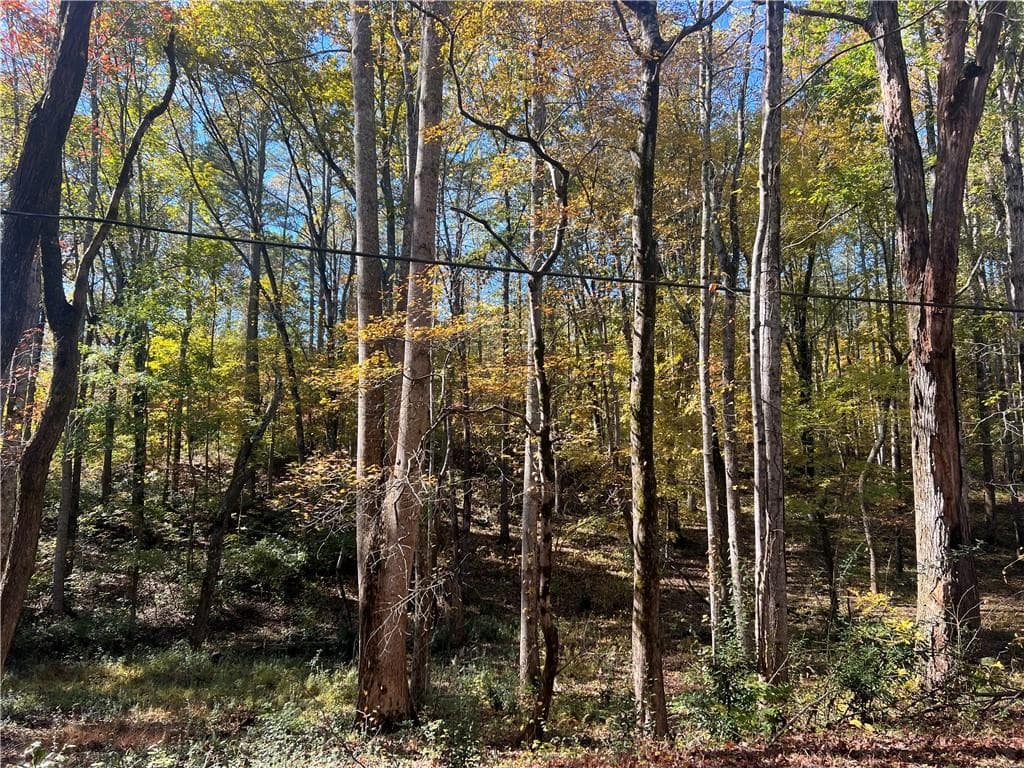 unimproved land for sale at 10494 Ball Ground Highway, Ball Ground, GA 30107 — photo 8