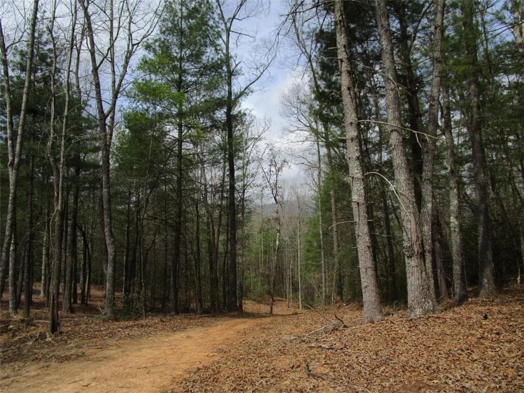 unimproved land for sale at 0 East New Hope Road, Ellijay, GA 30536 — photo 1 of 21
