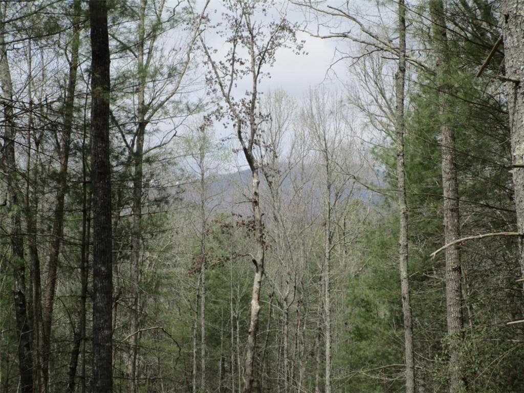 unimproved land for sale at 0 East New Hope Road, Ellijay, GA 30536 — photo 2