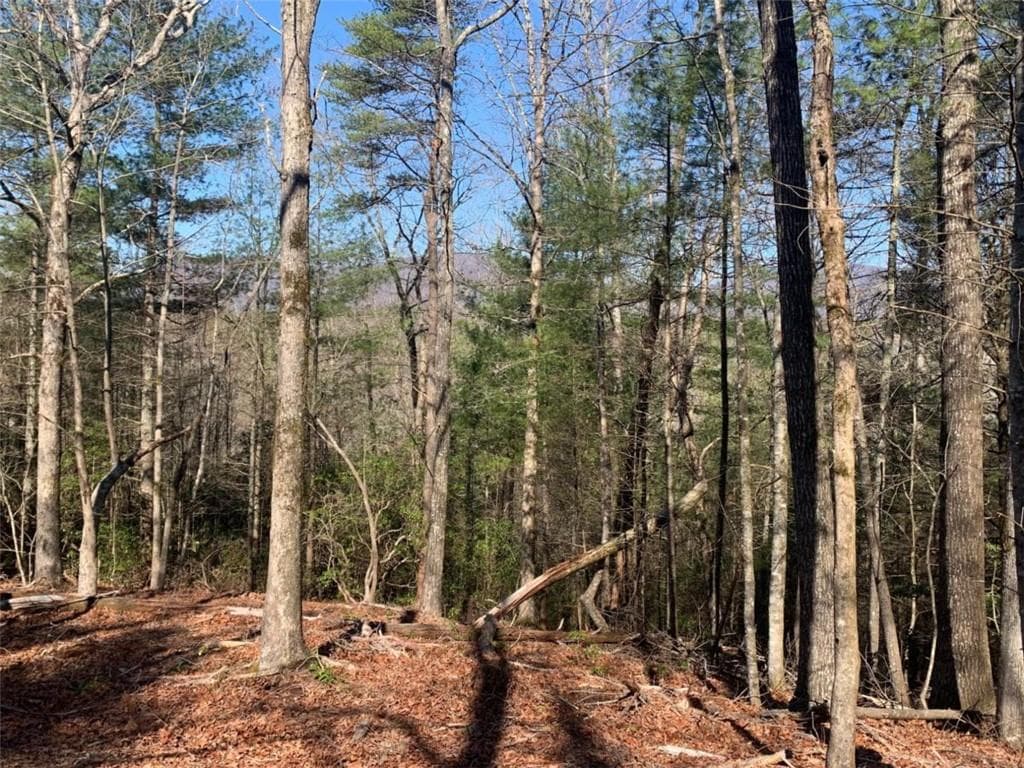 unimproved land for sale at 0 East New Hope Road, Ellijay, GA 30536 — photo 4