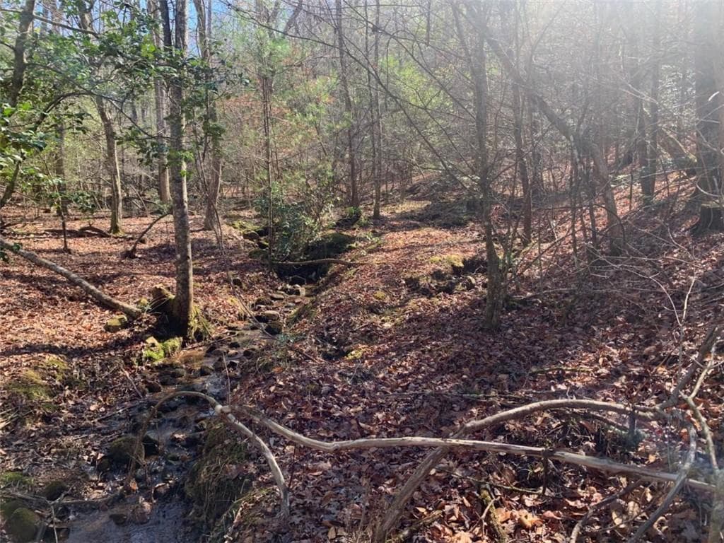 unimproved land for sale at 0 East New Hope Road, Ellijay, GA 30536 — photo 7