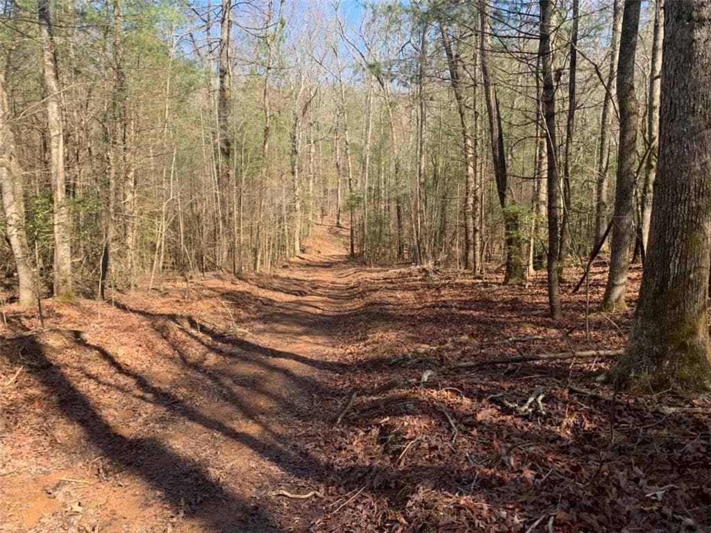 unimproved land for sale at 0 East New Hope Road, Ellijay, GA 30536 — photo 8