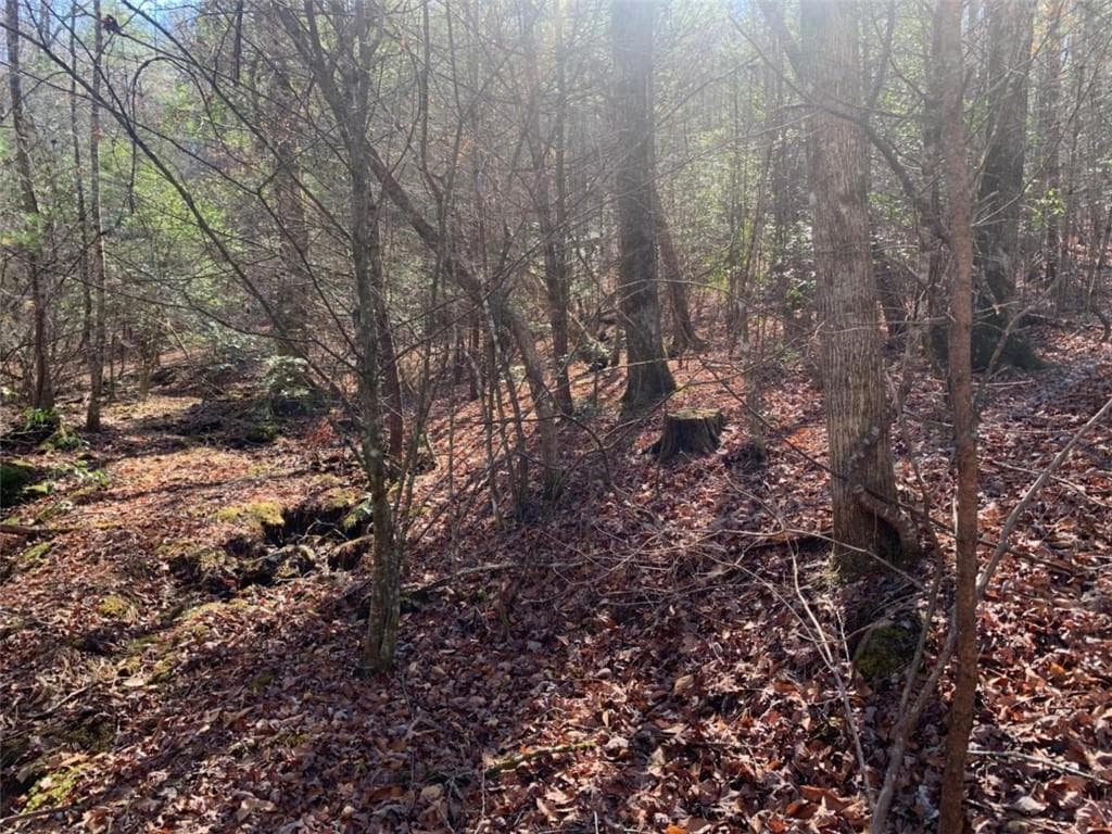 unimproved land for sale at 0 East New Hope Road, Ellijay, GA 30536 — photo 9