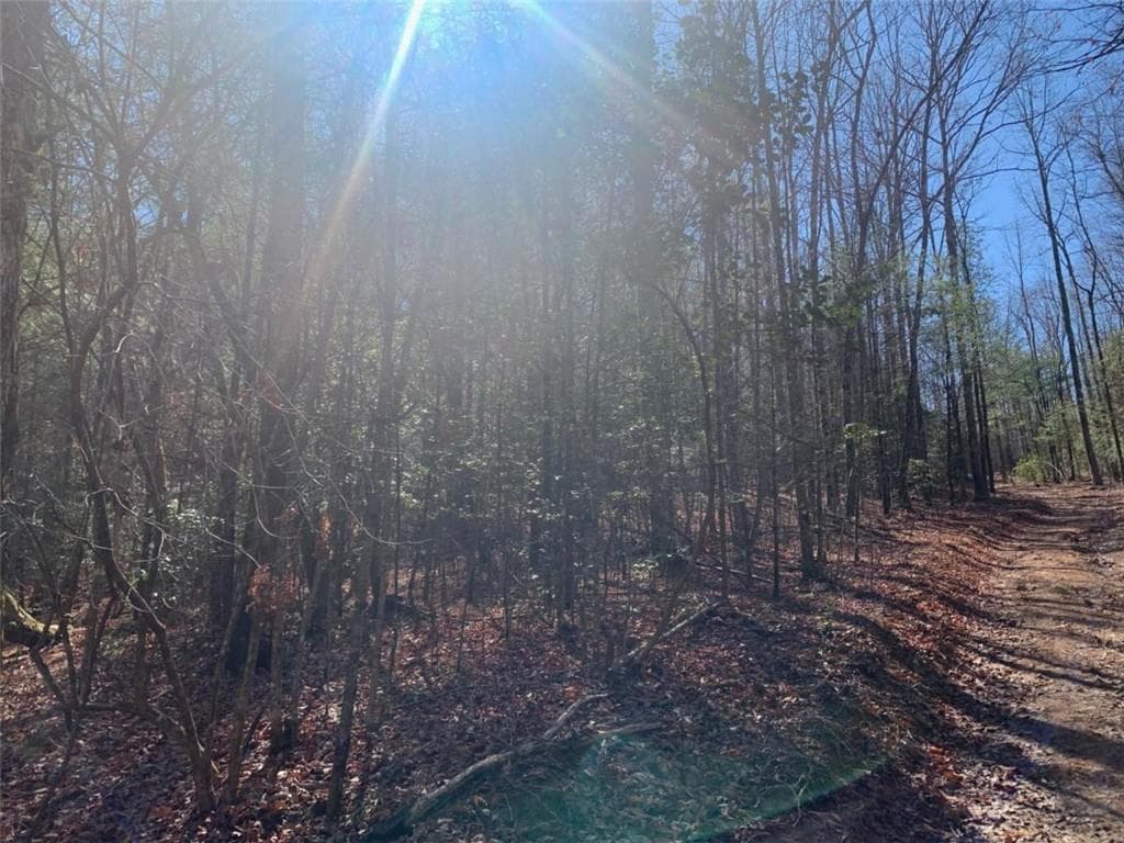 unimproved land for sale at 0 East New Hope Road, Ellijay, GA 30536 — photo 10