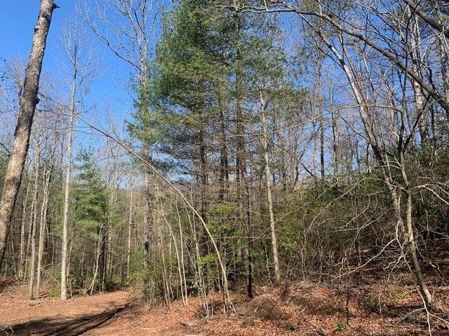unimproved land for sale at 0 East New Hope Road, Ellijay, GA 30536 — photo 1 of 7