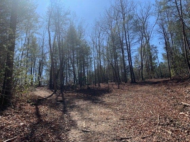 unimproved land for sale at 0 East New Hope Road, Ellijay, GA 30536 — photo 2