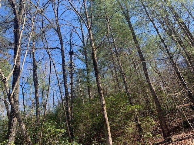 unimproved land for sale at 0 East New Hope Road, Ellijay, GA 30536 — photo 4