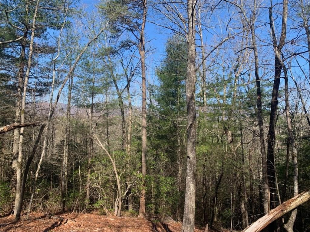 unimproved land for sale at 0 East New Hope Road, Ellijay, GA 30536 — photo 5