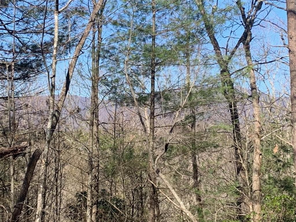 unimproved land for sale at 0 East New Hope Road, Ellijay, GA 30536 — photo 6