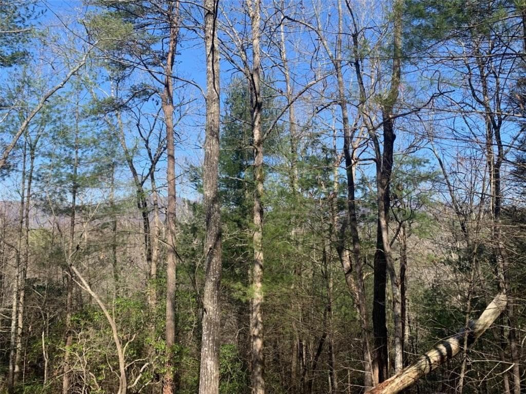unimproved land for sale at 0 East New Hope Road, Ellijay, GA 30536 — photo 7