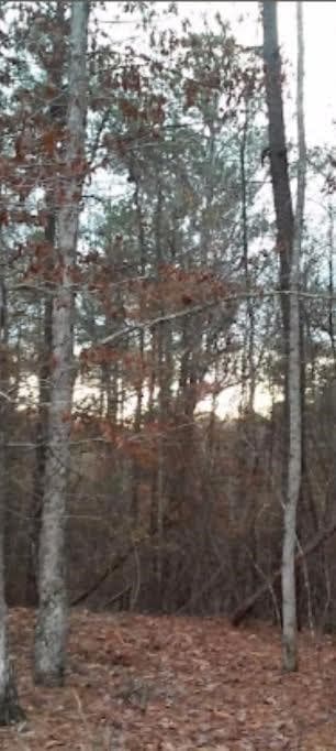 other for sale at 2771 Carey Station Rd Street, Greensboro, GA 30043 — photo 5